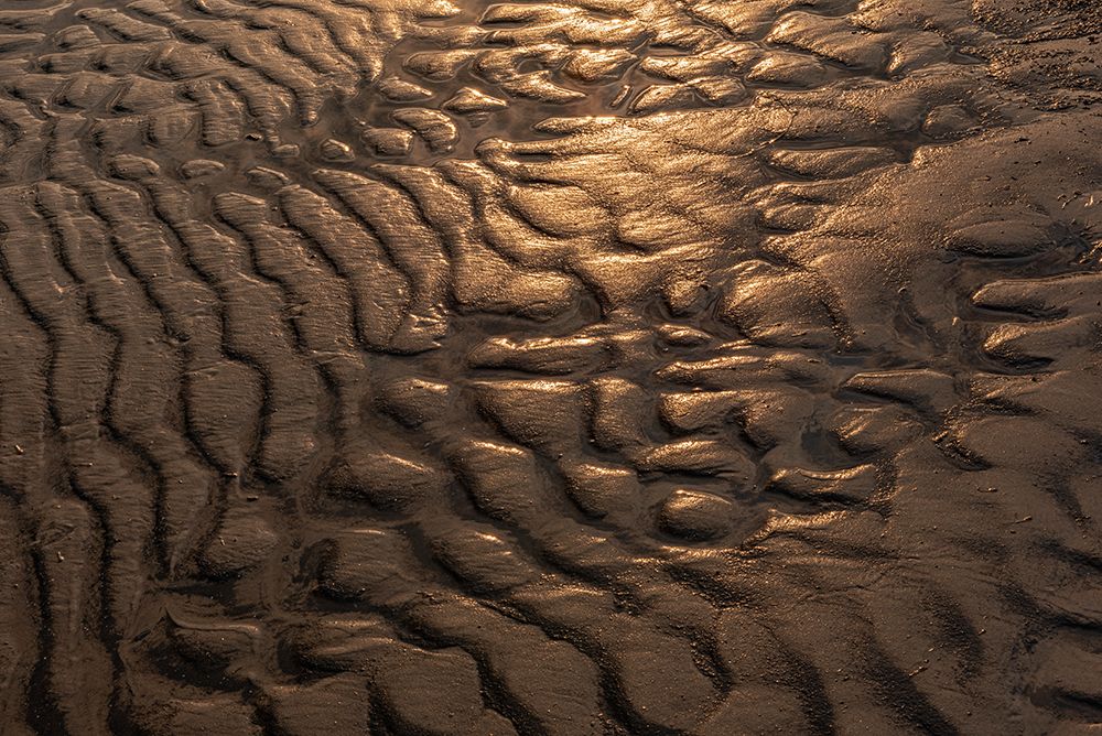 Canada- Manitoba- Winnipeg. Wave patterns on sandy beach of Lake Winnipeg. art print by Jaynes Gallery for $57.95 CAD